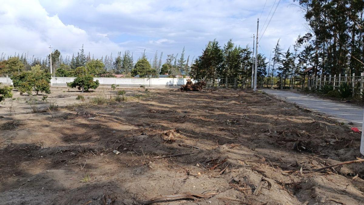 Venta de Terreno Malchingui, San Juan 1000 m² — imagen 4