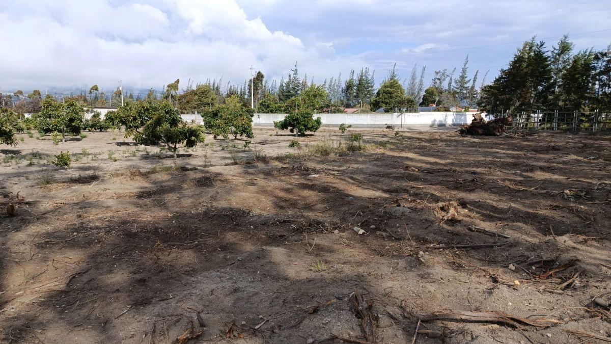 Venta de Terreno Malchingui, San Juan 1000 m² — imagen 3