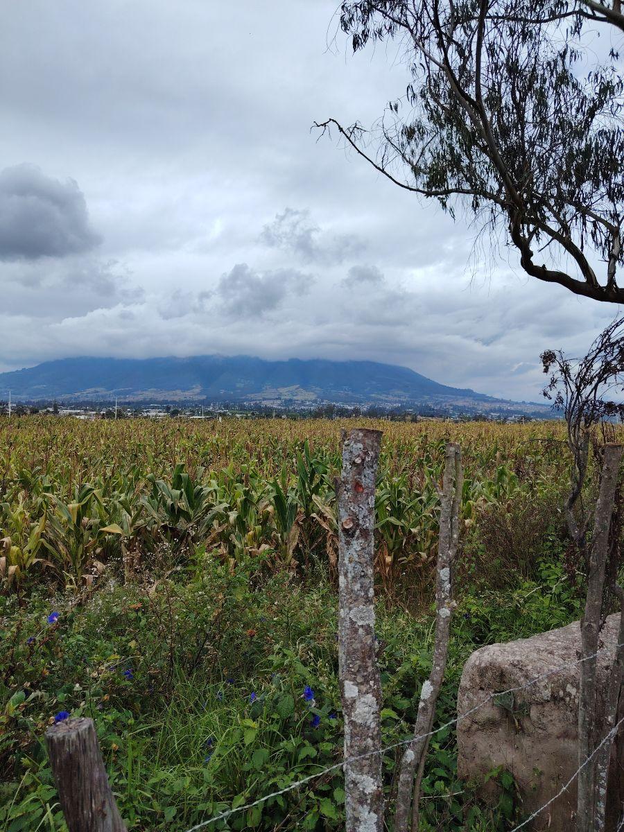 De Venta 6 Hectáreas de Terreno en Chaltura, Imbabura — imagen 10