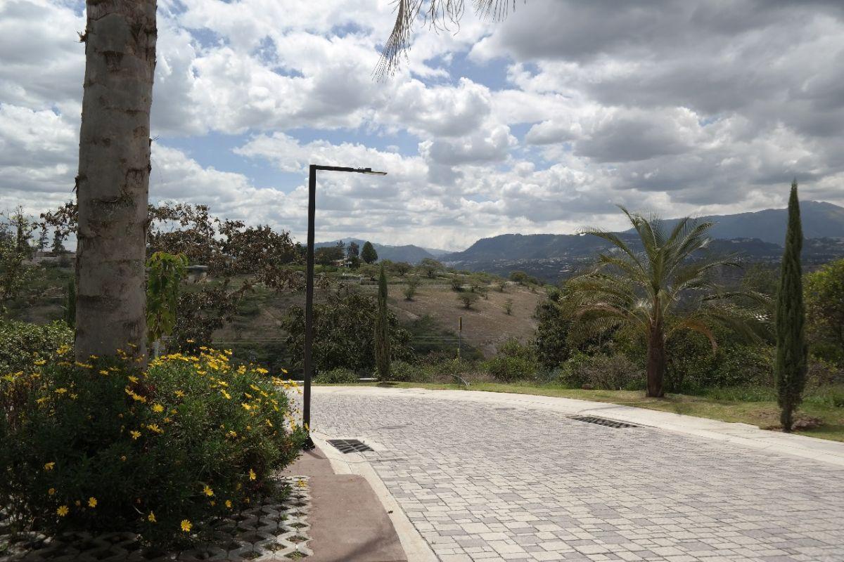 Venta Terreno Sector Arrayanes - Puembo — imagen 8