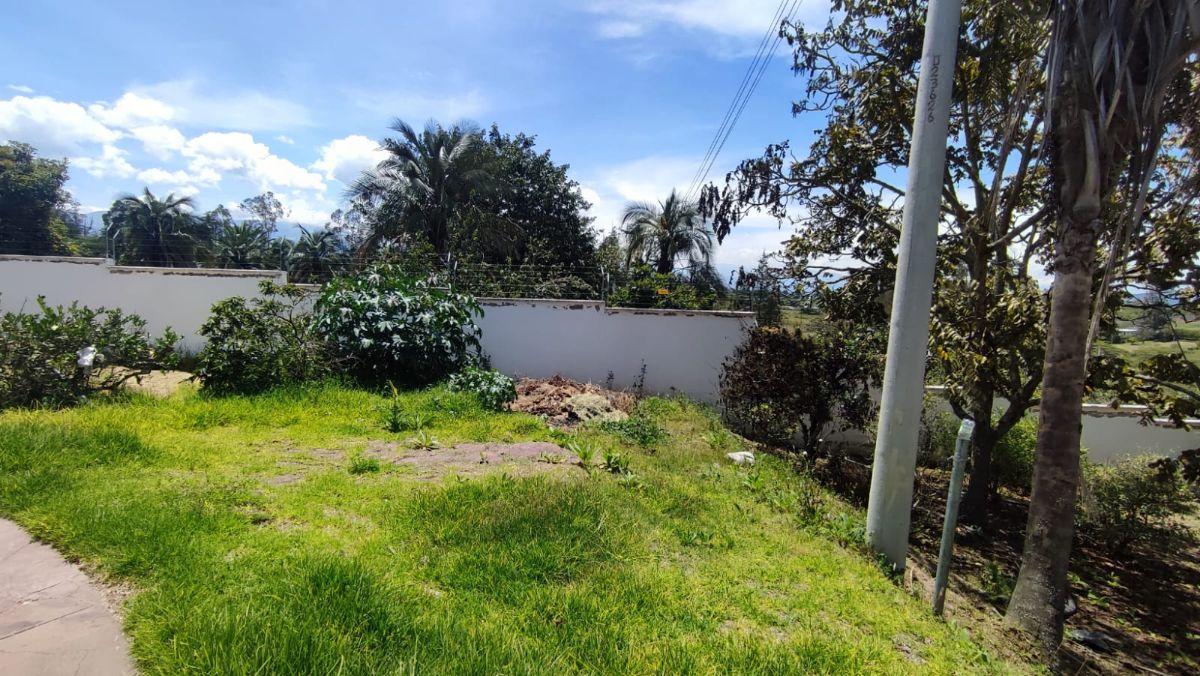 Venta Terreno Sector Arrayanes - Puembo — imagen 6