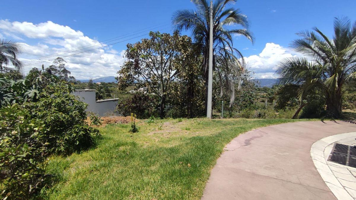 Venta Terreno Sector Arrayanes - Puembo — imagen 2