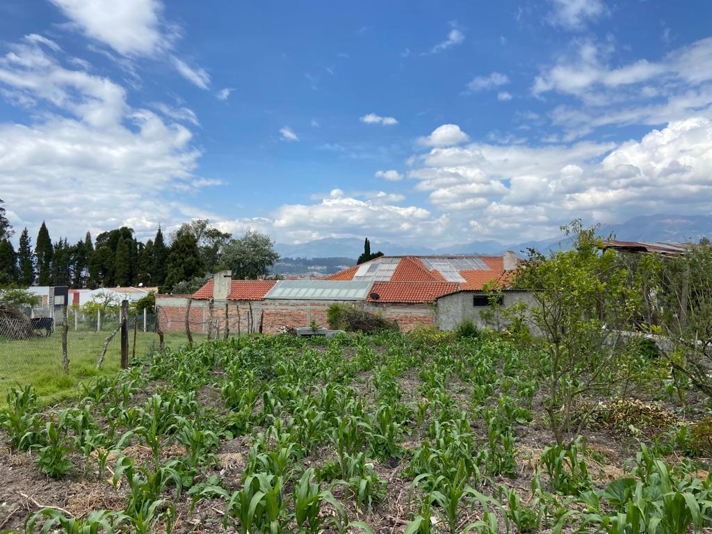 Terreno con Iprus en Venta, Sector Ricaurte, Azuay — imagen 9