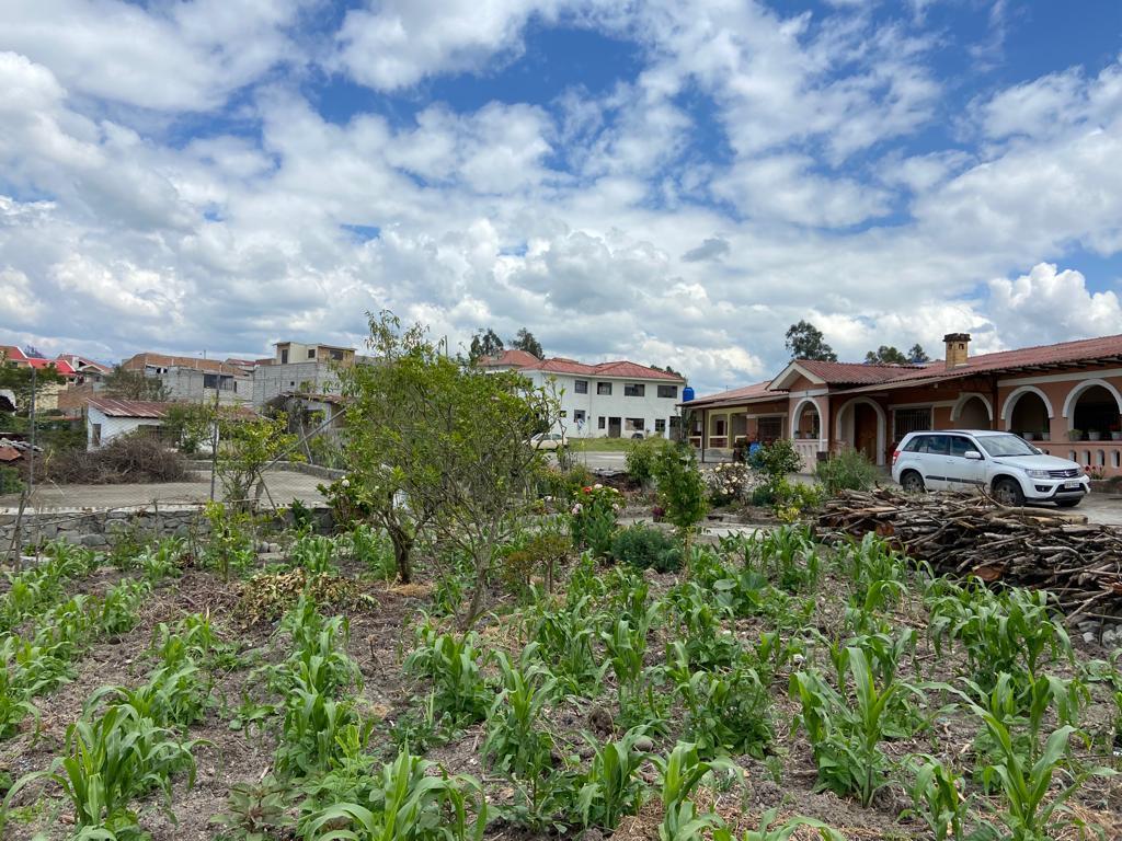 Terreno con Iprus en Venta, Sector Ricaurte, Azuay — imagen 8