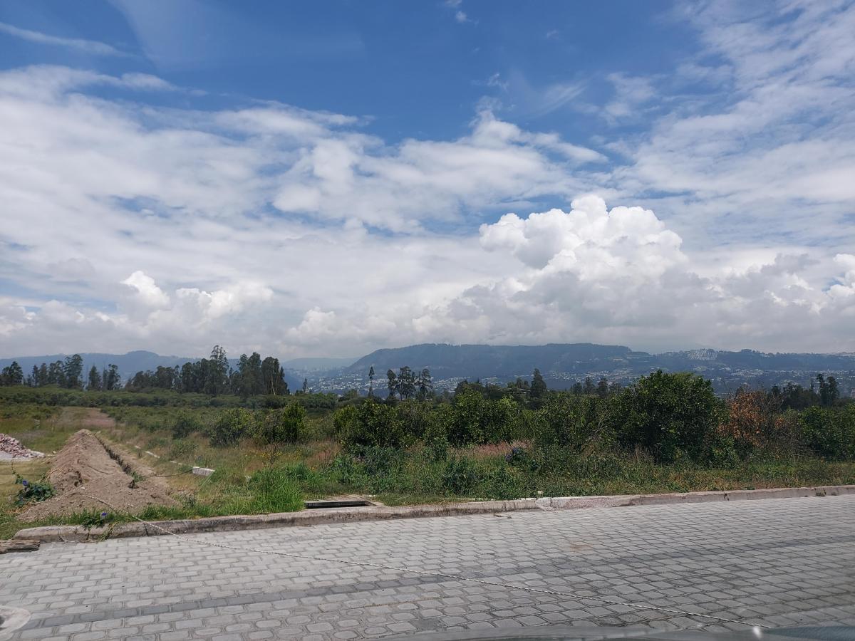 Terrenos en Venta, Lotes, Dentro de Urbanizacion, Tumbaco — imagen 7