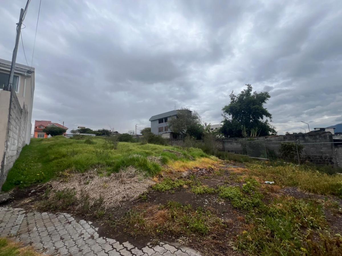 En Venta. Terreno de 630 m² Más 60 m² de Uso Exclusivo Privado. Provincia de Pichincha — imagen 7