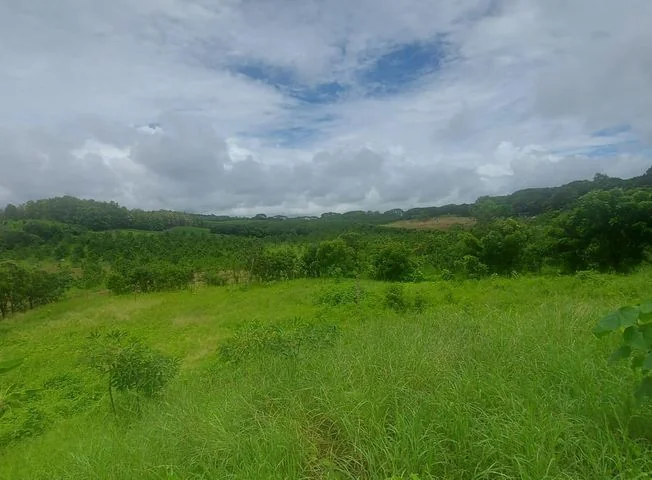 Terreno en venta en Via A La Costa — imagen 3