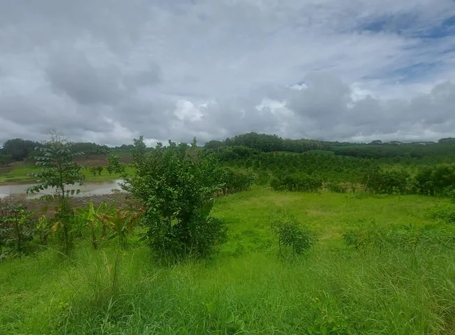 Terreno en venta en Via A La Costa — imagen 2