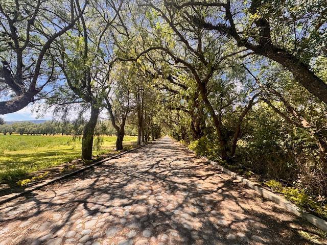 Vendo 3 Lotes en Checa — imagen 10