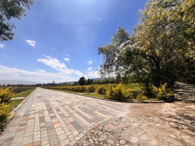 Vendo 3 Lotes en Checa — imagen 7