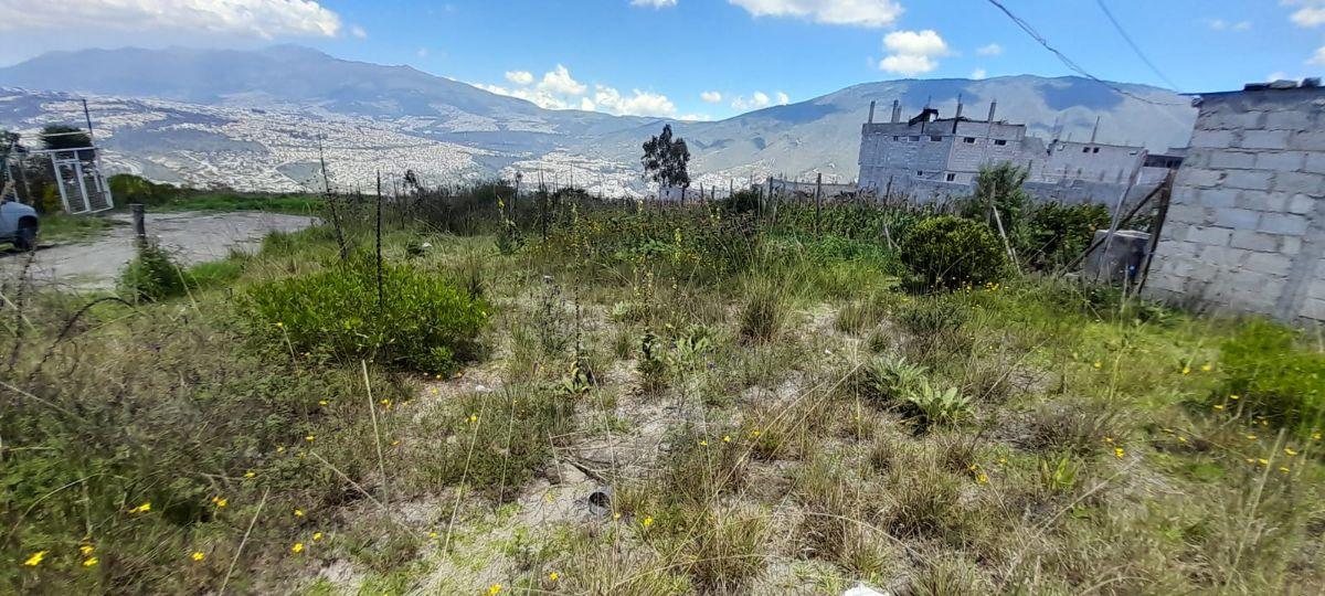Terreno de Venta en Calderon — imagen 6