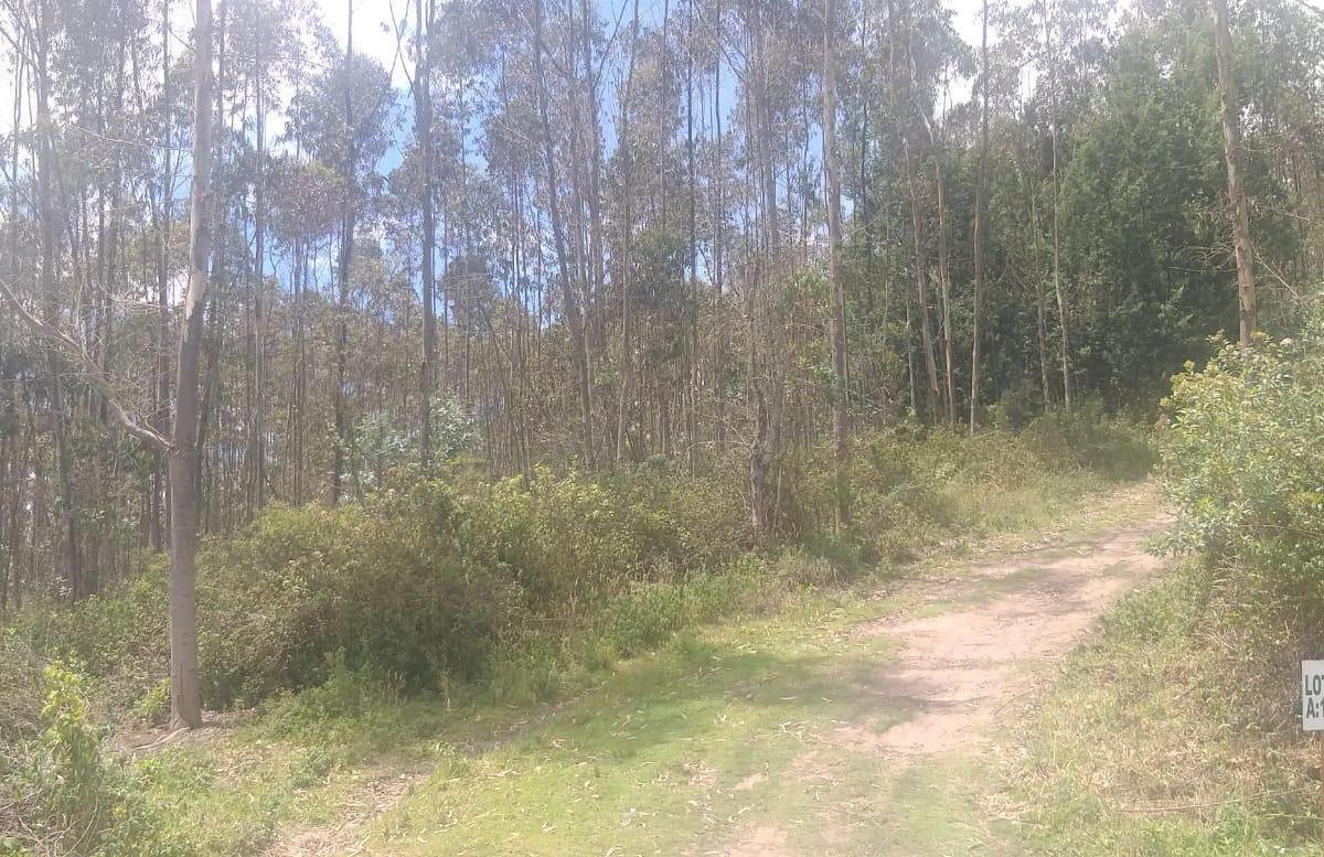 Vendo Terrenos en El Lago San Pablo, Imbabura — imagen 10
