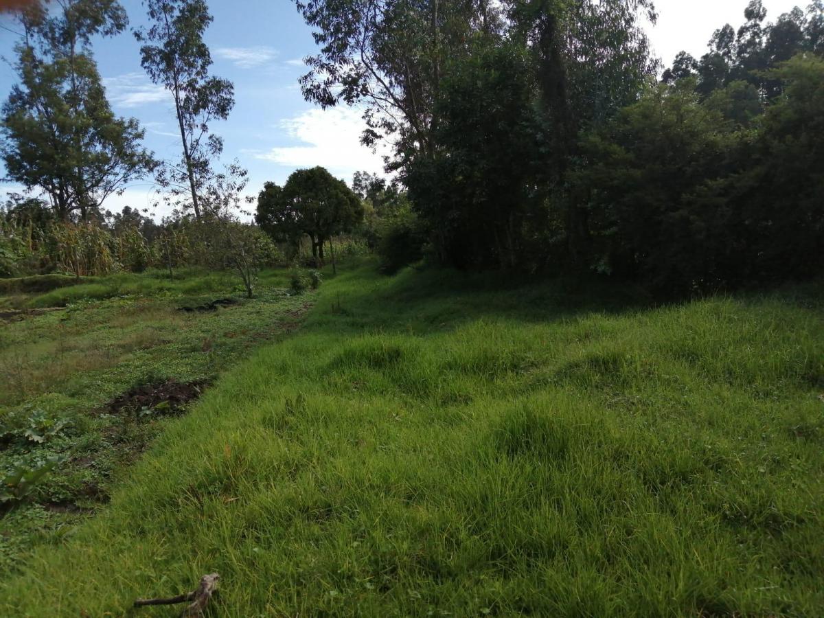 Terreno en Venta en La Merced. Valle de Los Chillos. 1684 m — imagen 7