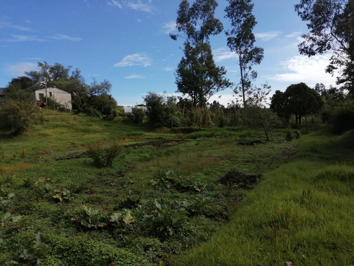 Terreno en Venta en La Merced. Valle de Los Chillos. 1684 m — imagen 6