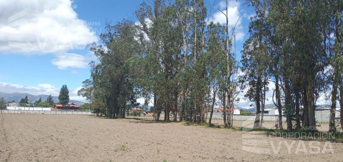 Puembo - en Pleno Pueblo, Terreno de 34.300 m² en Venta — imagen 10