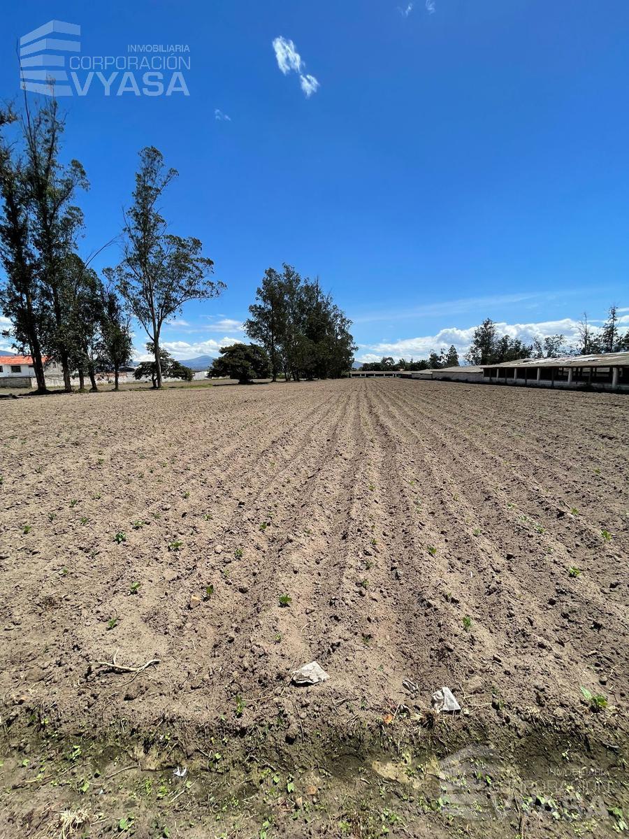 Puembo - en Pleno Pueblo, Terreno de 34.300 m² en Venta — imagen 9