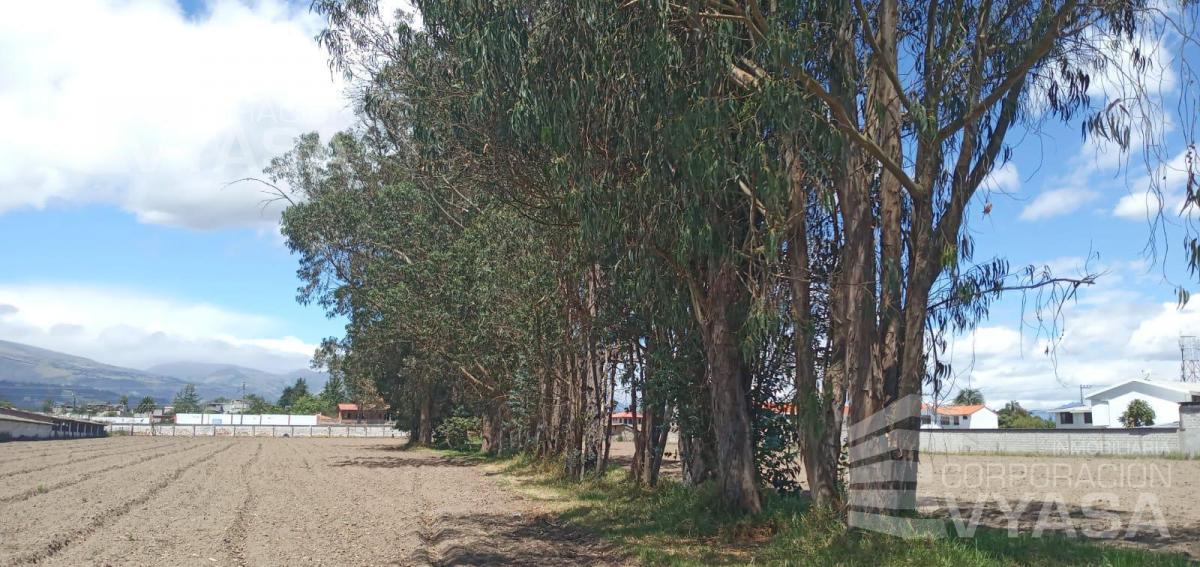 Puembo - en Pleno Pueblo, Terreno de 34.300 m² en Venta — imagen 8