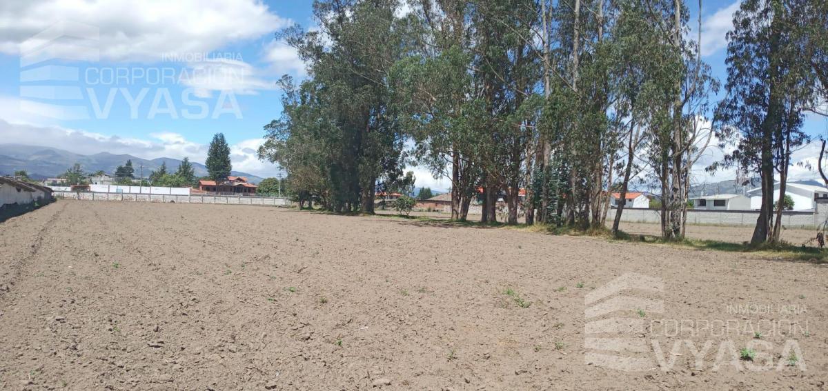 Puembo - en Pleno Pueblo, Terreno de 34.300 m² en Venta — imagen 7