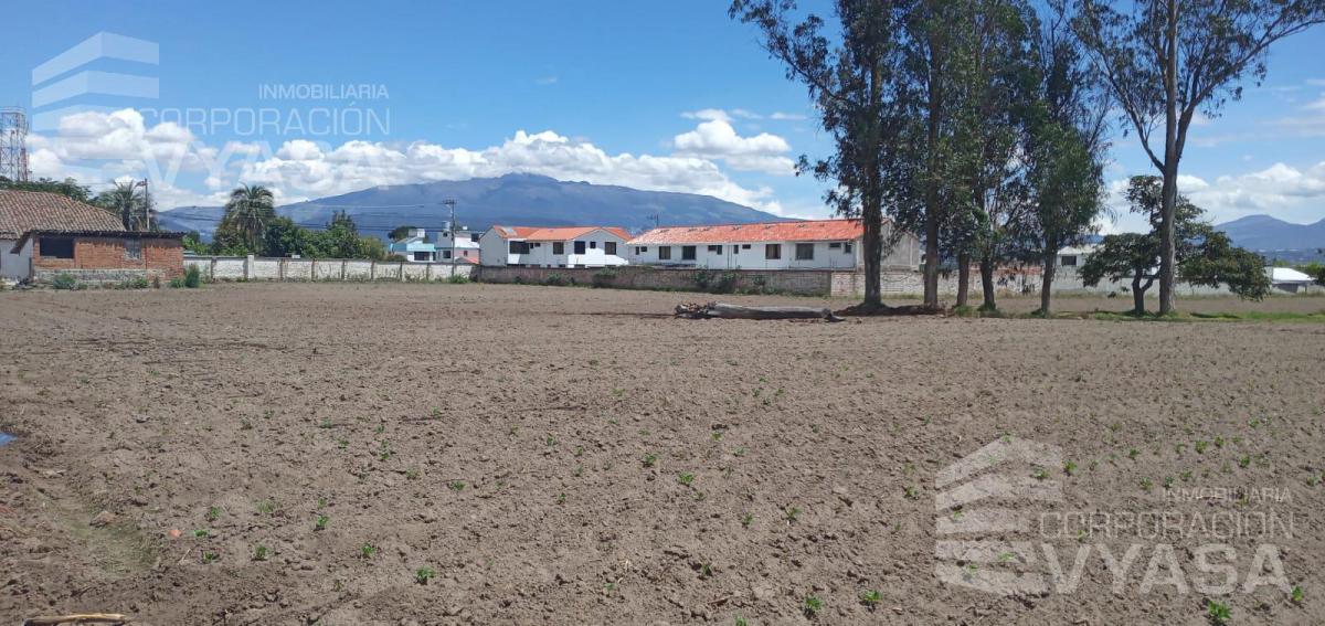 Puembo - en Pleno Pueblo, Terreno de 34.300 m² en Venta — imagen 6