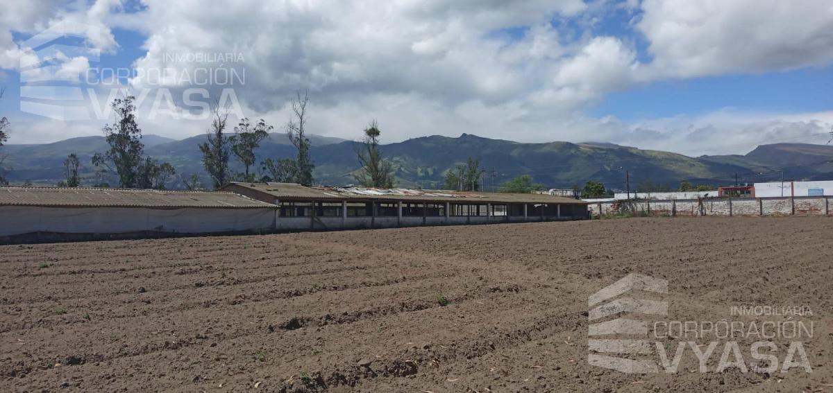 Puembo - en Pleno Pueblo, Terreno de 34.300 m² en Venta — imagen 5
