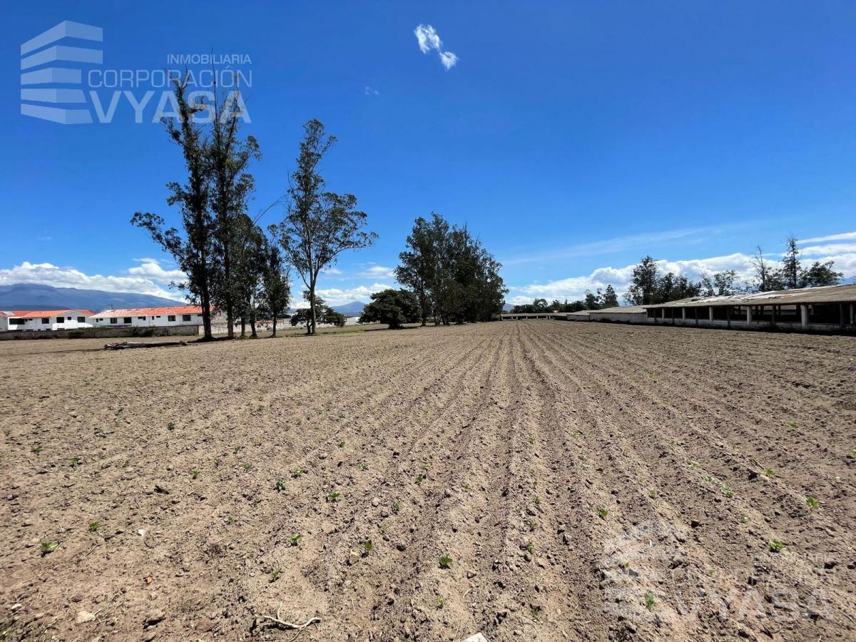 Puembo - en Pleno Pueblo, Terreno de 34.300 m² en Venta — imagen 4