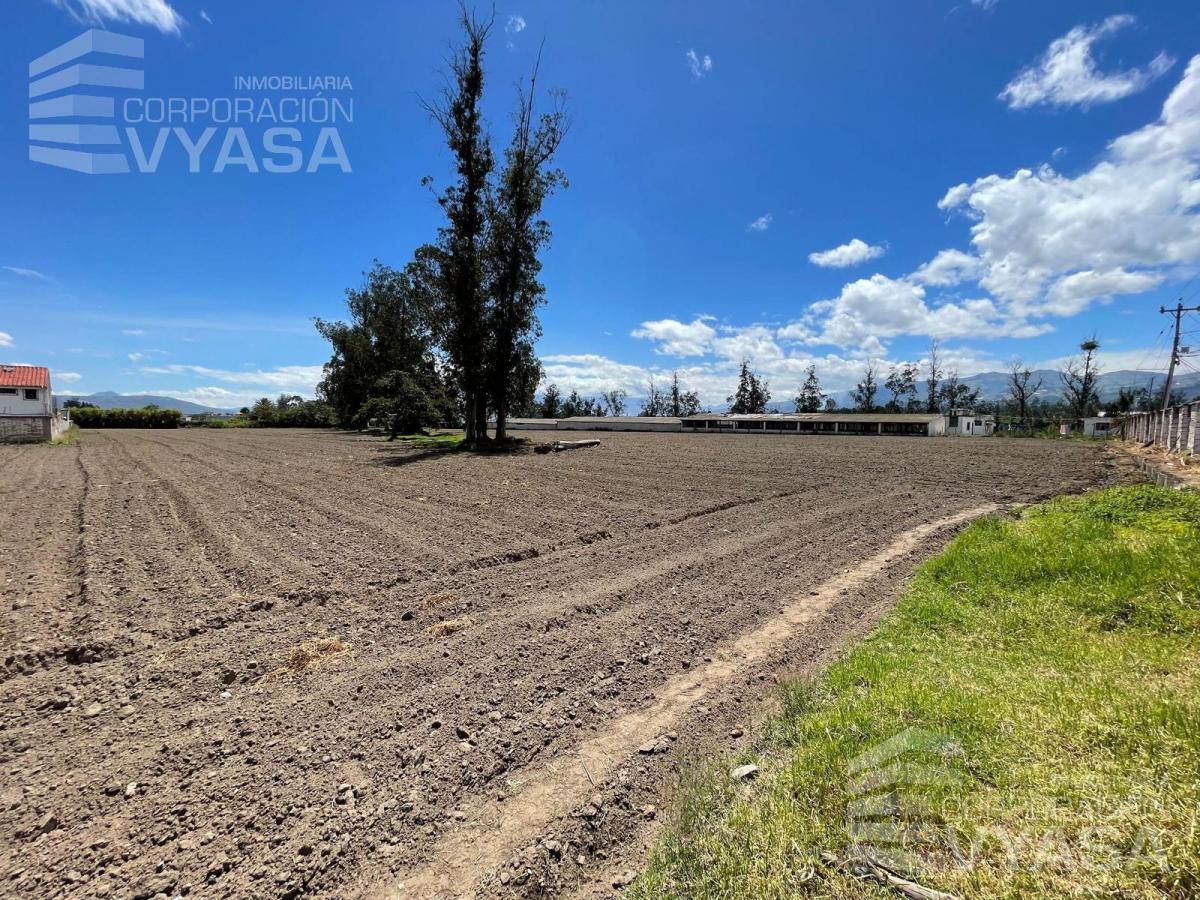 Puembo - en Pleno Pueblo, Terreno de 34.300 m² en Venta — imagen 3
