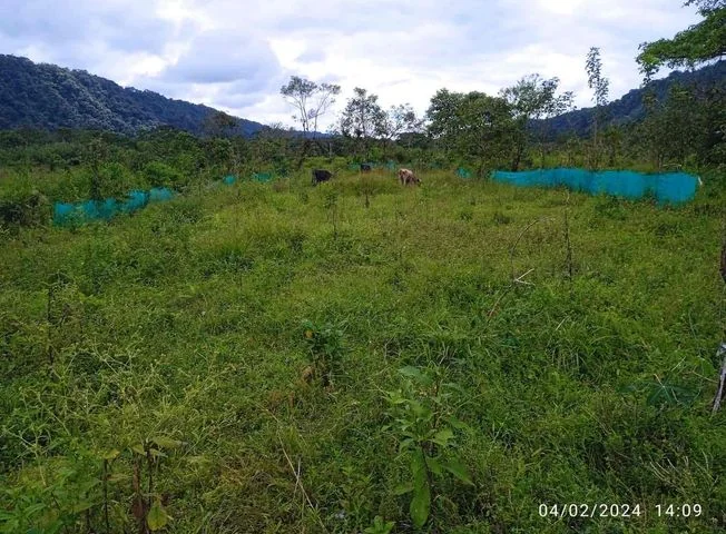 Terreno en venta en San Miguel De Los Bancos — imagen 1