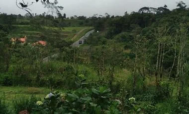 Terreno en venta en San Miguel De Los Bancos — imagen 4