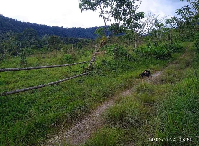 Terreno en venta en San Miguel De Los Bancos — imagen 3
