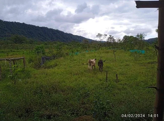 Terreno en venta en San Miguel De Los Bancos — imagen 2