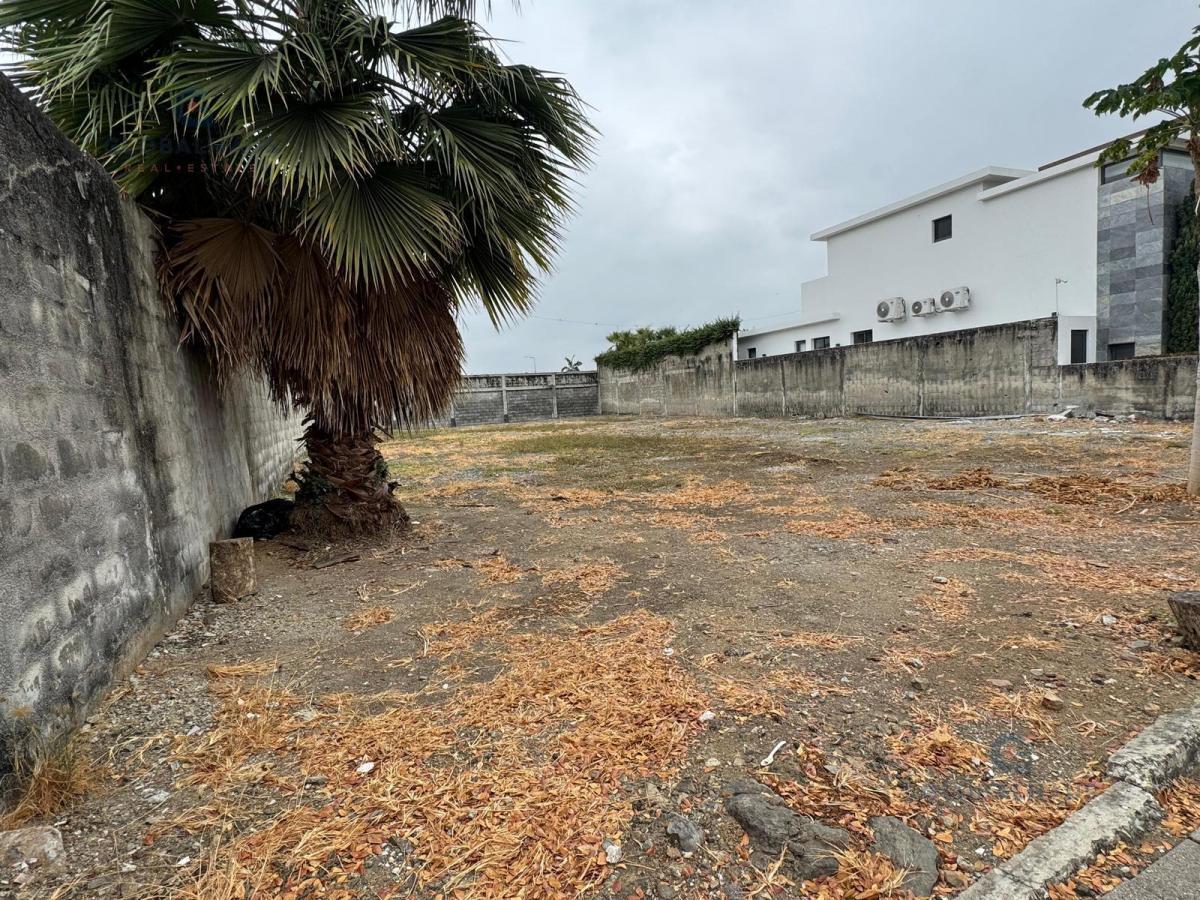 Venta de Terreno en Samborodón Urb. Biblos - Seguridad 24/7 - Amplias Áreas Verdes. R. Y. Guayas — imagen 4
