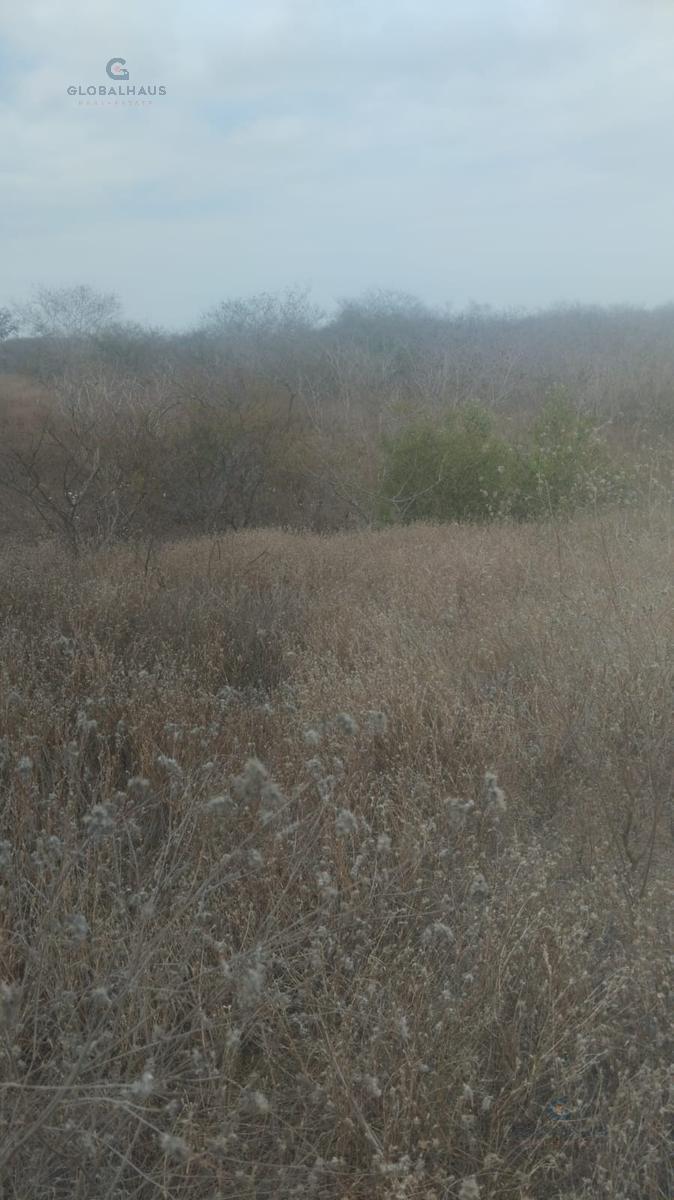 Venta Terreno Cdla. Barú, Sector Los Gavilanes, Manta, P. C. Manabí — imagen 4