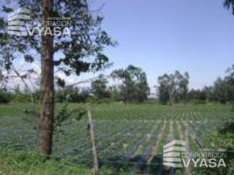 Tababela, Nuevo Aeropuerto, Lote de Terreno en Venta, 4 H — imagen 8