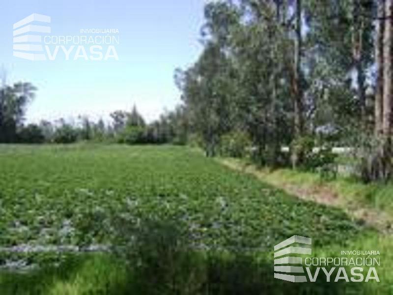 Tababela, Nuevo Aeropuerto, Lote de Terreno en Venta, 4 H — imagen 7