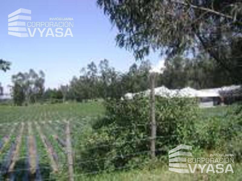 Tababela, Nuevo Aeropuerto, Lote de Terreno en Venta, 4 H — imagen 6