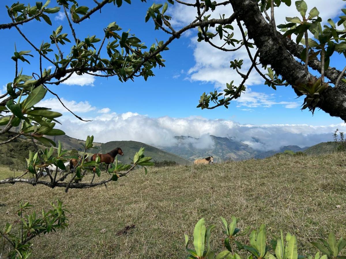 30 Hectáreas en Venta en Tenerias Catzuqui de Velazco — imagen 6