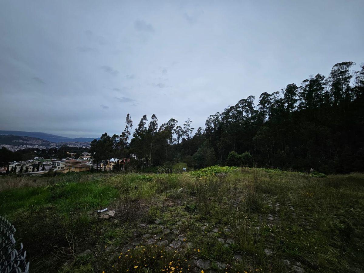 Terreno en Urbanizacion - Av Mariscal Sucre - Occidental — imagen 7