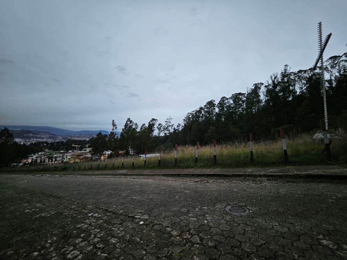 Terreno en Urbanizacion - Av Mariscal Sucre - Occidental — imagen 6