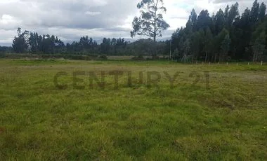 Terreno en venta en Santiago De Pillaro — imagen 4