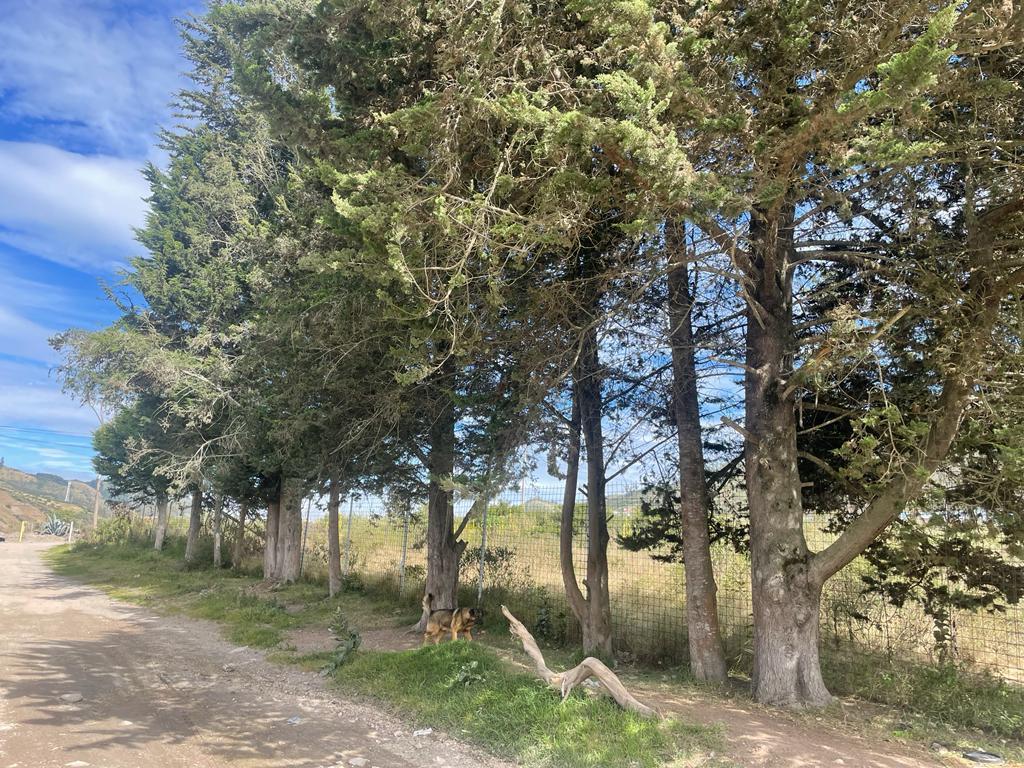 Calacali - Mitad del Mundo, en Venta Terreno Industrial 5000 m² — imagen 6