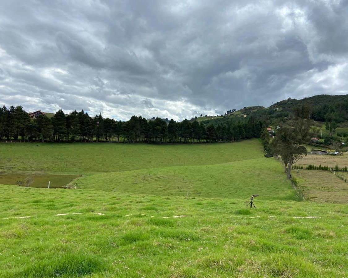 Hermoso Terreno en Venta, Sector Zhucay, Azuay — imagen 10