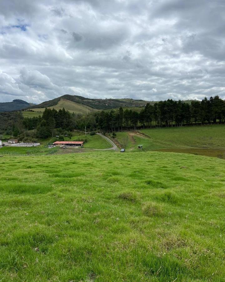 Hermoso Terreno en Venta, Sector Zhucay, Azuay — imagen 7