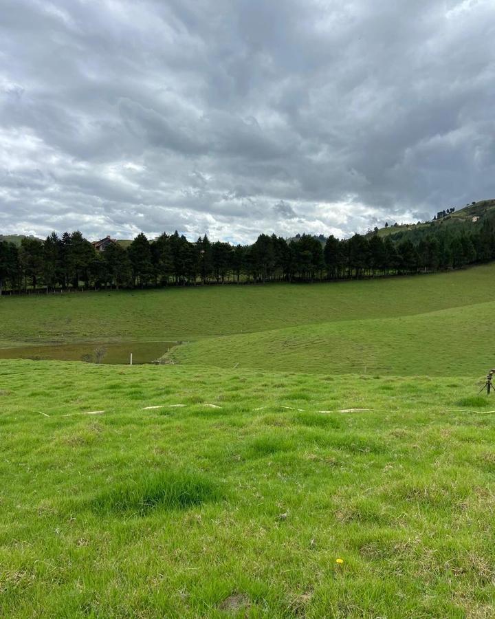 Hermoso Terreno en Venta, Sector Zhucay, Azuay — imagen 6