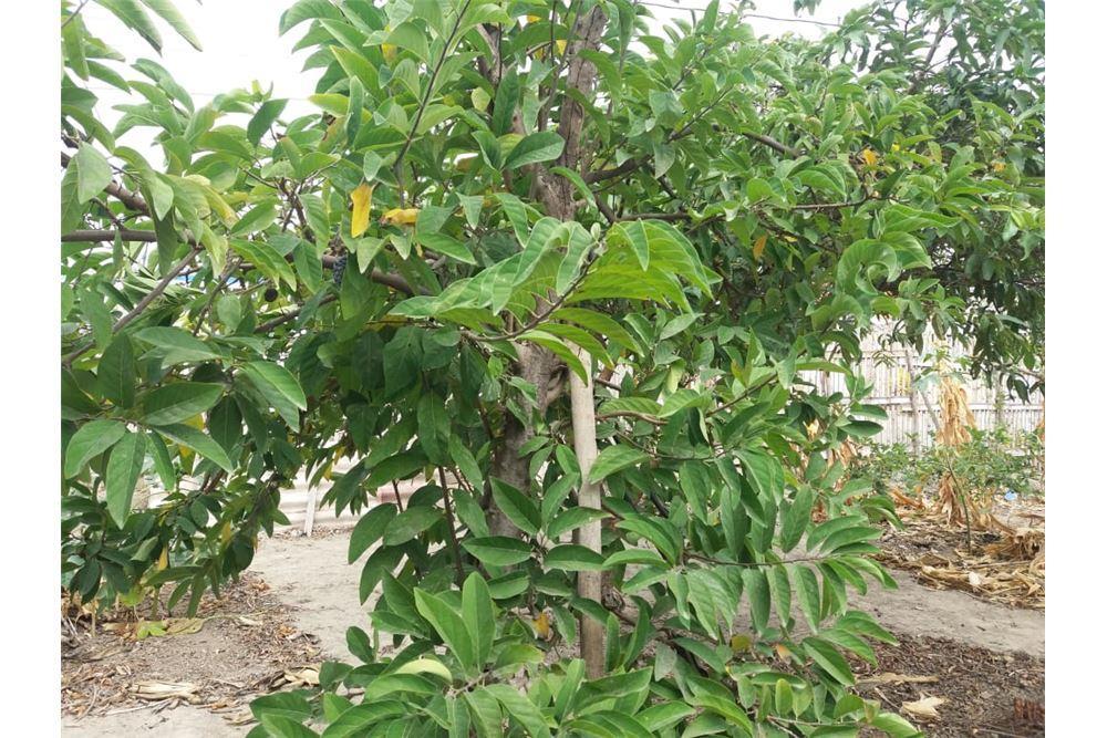 Terreno de Venta en Manta Zona Norte Manabi, Manabí — imagen 6