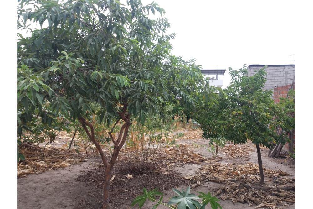 Terreno de Venta en Manta Zona Norte Manabi, Manabí — imagen 2
