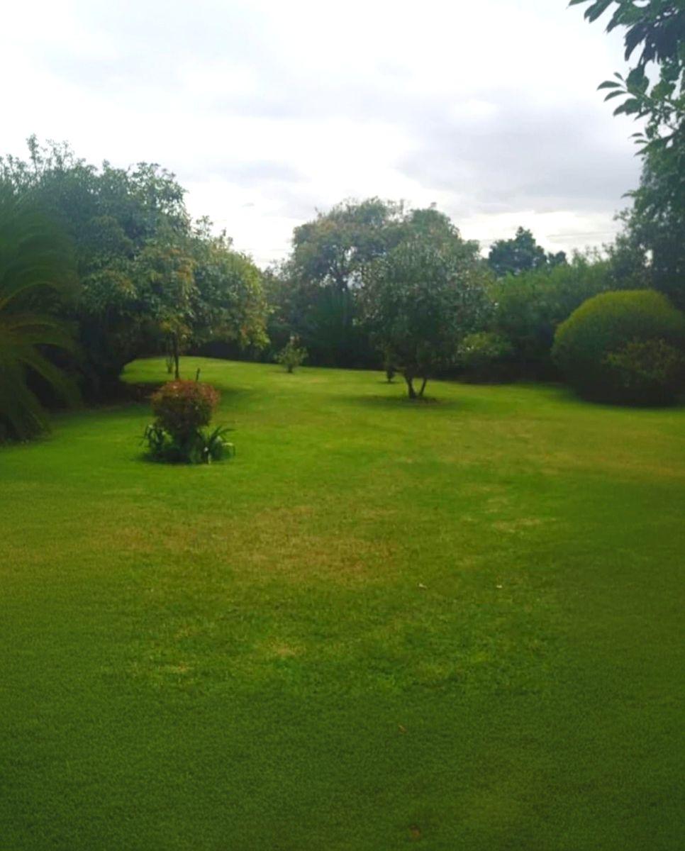 Venta Terreno 5000 m² Independiente - Plano Sector Guayllabamba — imagen 5