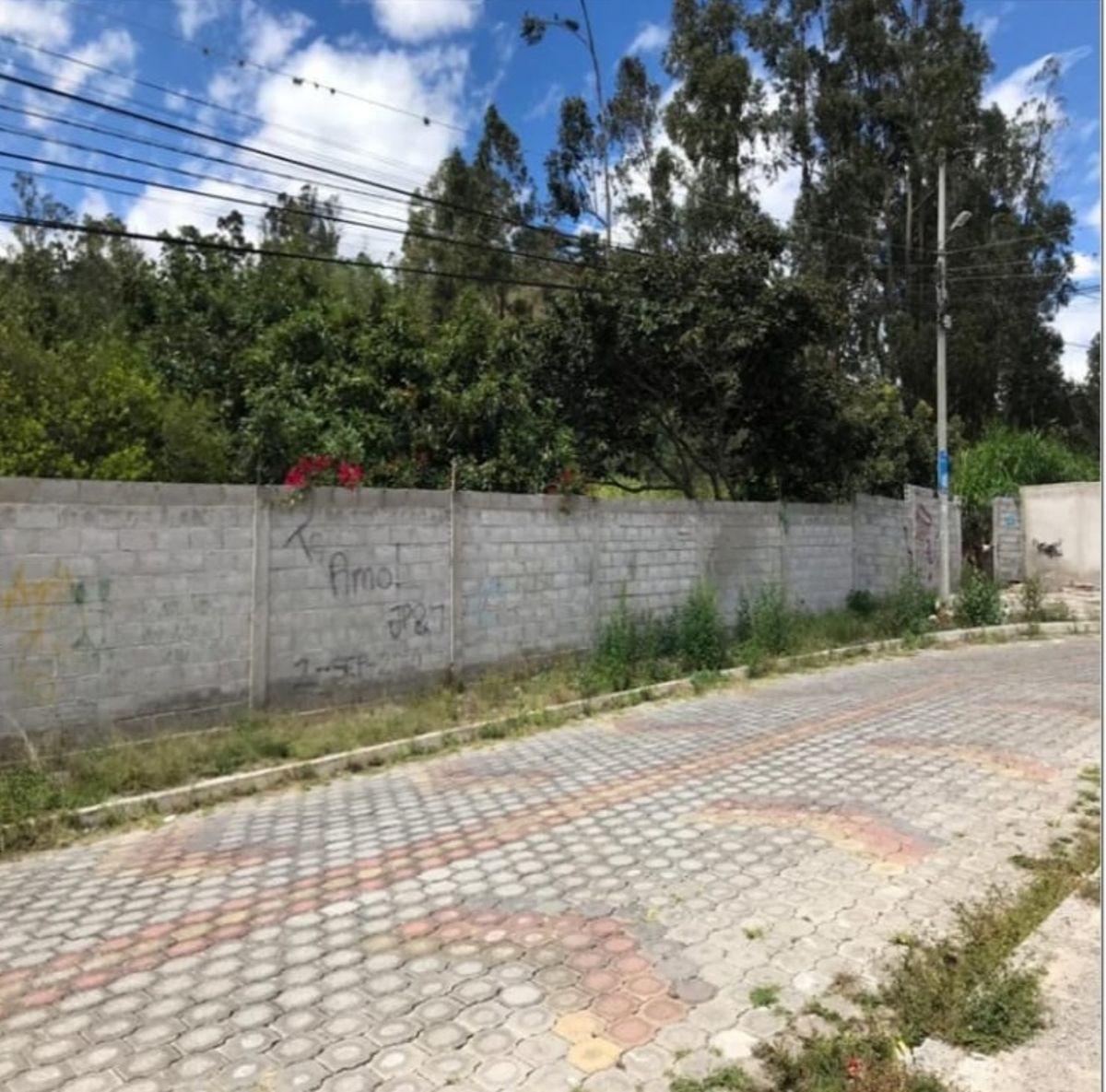 Venta Terreno 5000 m² Independiente - Plano Sector Guayllabamba — imagen 4
