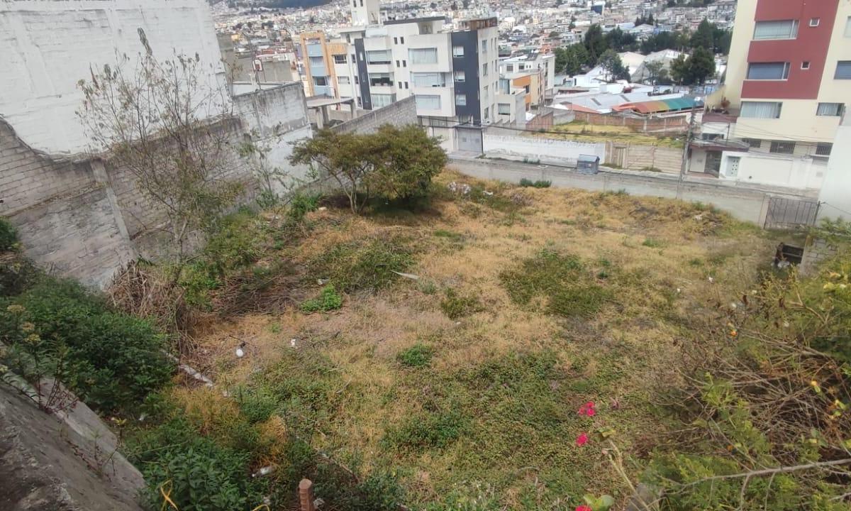 De Venta Terreno Sector Ponceano a 2 Cuadras del Supermaxi — imagen 2