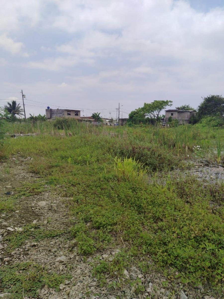 Terreno en Venta en Recreo, Norte de Durán Tato, Guayas — imagen 9