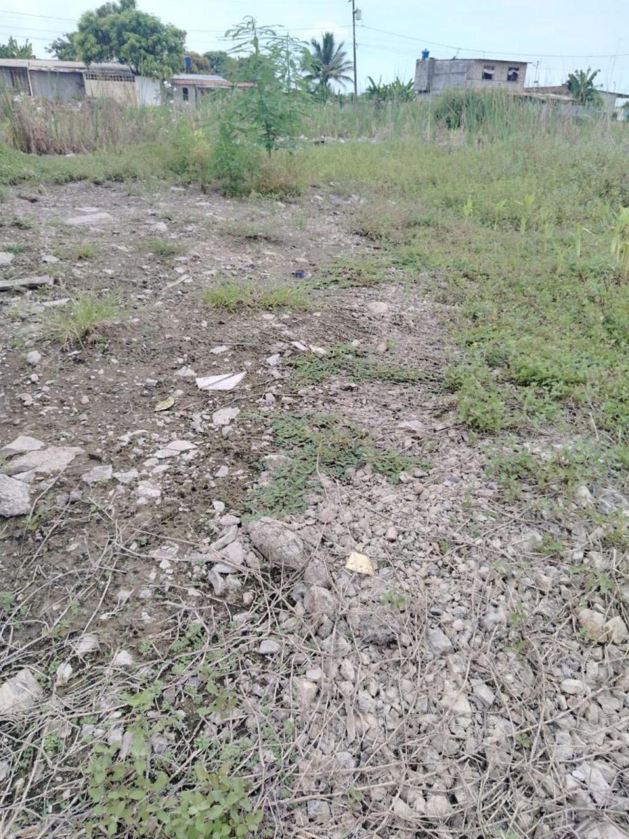 Terreno en Venta en Recreo, Norte de Durán Tato, Guayas — imagen 8